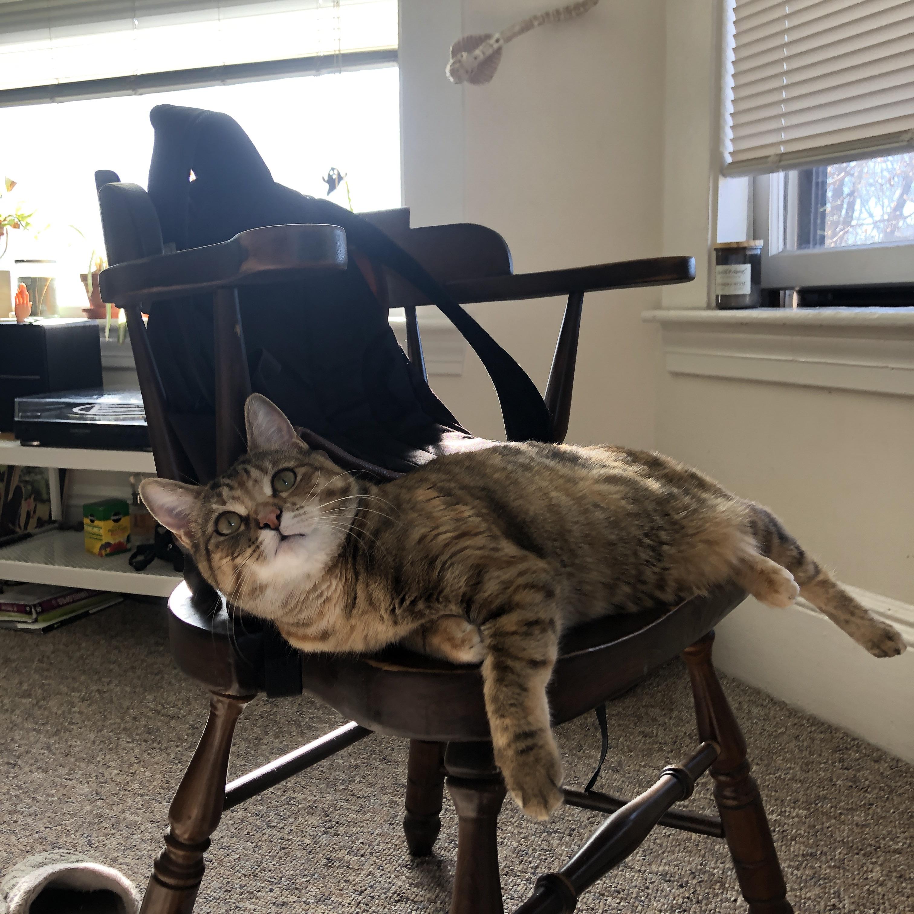 从软肋到枢纽，迪亚斯如何用一记断球开启三冠王朝？